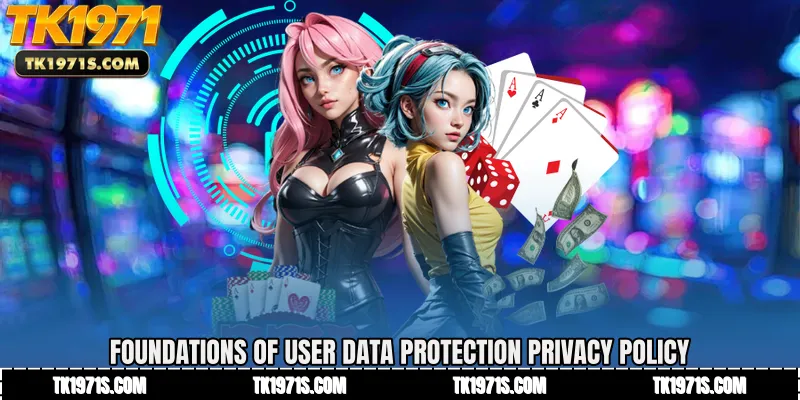 Foundations of User Data Protection Privacy Policy
