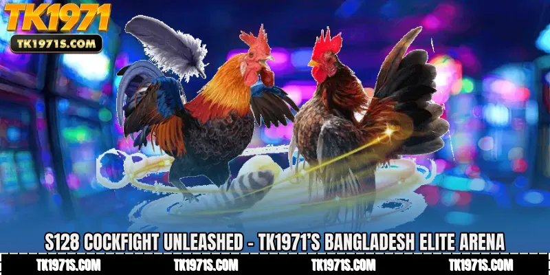 S128 Cockfight Unleashed - TK1971’s Bangladesh Elite Arena