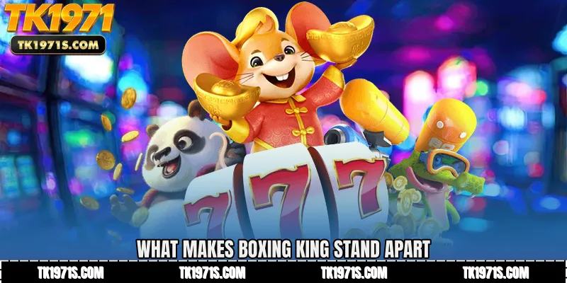 What Makes Boxing King Stand Apart